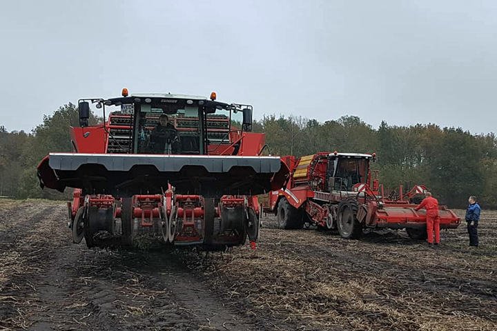 foto